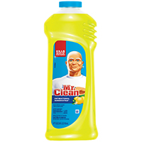 31501 MR CLEAN SMR CITRUS 28OZ