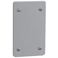 E980CN-CAR BLNK OUTLET COVER1G