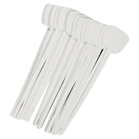 STAKES T-LABEL LARGE 10CT