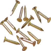 255-81N BR NAILS BRASS BAG 650