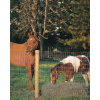 2x4x48x100' Rb Horse Fence C1