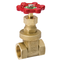 B & K ProLine Series 100-002NL Gate Valve, 3/8 in Connection, FPT, 200/125