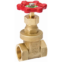 B & K ProLine Series 100-203NL Gate Valve, 1/2 in Connection, FPT, 300/150