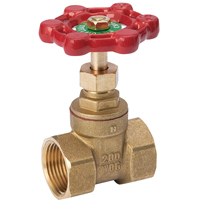 B&K-100403NL GATE VALVE 1/2