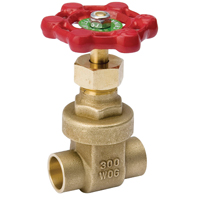 100-703NL GATE VALVE 1/2SWT P