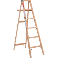 LADDER STP WD TYPE3 200LB 6FT