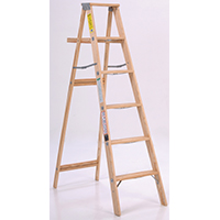 LADDER STEP WD TYPE2 225LB 6FT
