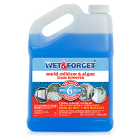 800066CA WET AND FORGET 1GAL