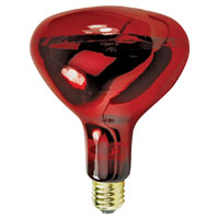 Feit Electric 250R40/10 Incandescent Lamp, 250 W, R40 Lamp, Medium E26 Lamp