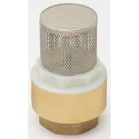 B&K-101-325NL FOOT VALVE 1 BRASS