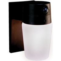 HZ-5610-BZ LIGHT MOTN 60W BRZ