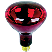 RED HEAT LAMP BULB (250W)