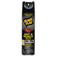 11031 KILLER ANT&ROACH 17.5OZ