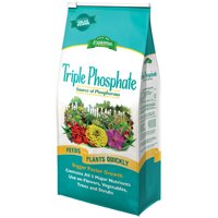 Espoma Triple Phosphate 6.5#