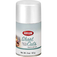 KRYLON SPRAY PAINT SHORT CUTS WH