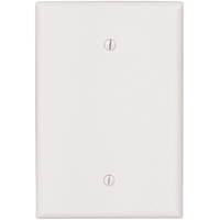 EAT-2729W WALL PLATE 1G WHT