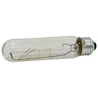 18493 TUBE INCAND CLR BULB 40W