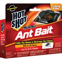 BAIT ANT HOT SHOT