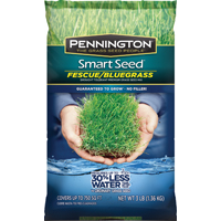 118910 SEED/FESCUE-BLUEGRASS