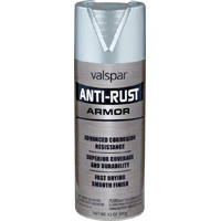 PAINT SPRAY AR GLOSS ALUM 12OZ