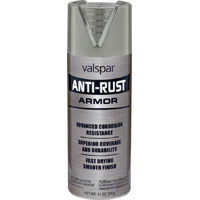 PAINT SPRAY AR GLOSS GRAY 12OZ