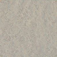 Vinyl Floor Tile Gray Marble