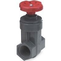 NDS GVG-0750-T Gate Valve; 3/4 in Connection; FIP; 150 psi Pressure; PVC