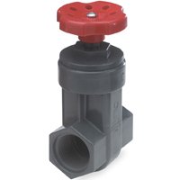 GATE VALVE 1-1/4IN FIPS PVC