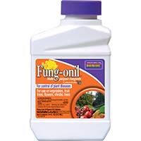 FUNG-OIL .0296 PINT