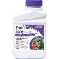 SPRAY FRUIT TREE CONCENTRATE