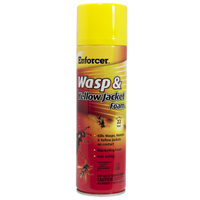 16OZ WASP FOAM SPRAY