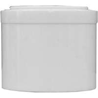 1-1/2 WHT Plug Spigot          *