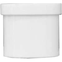 2" WHT Plug Spigot             *