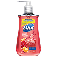 1717284 DIAL LIQUID HAND SOAP