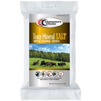 100012120 IODIZED 50LB BAG