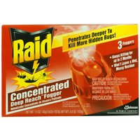 RAID INDOOR FOGGER