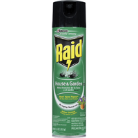 RAI-77551 HOUSE & GARDEN 11OZ