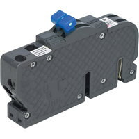 BRKR ZINSCO 2P 30A 3/4"