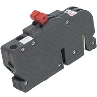 CIRCUIT BREAKR TYP R 2P 20/20A