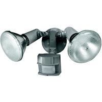 HEA-HZ-5411-GR SECURITY LIGHT 12