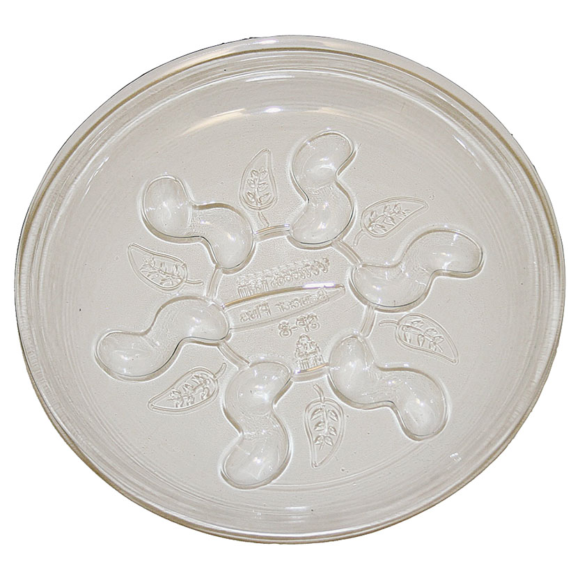 10" Saucer Plus