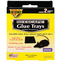 MOUSE GLUE TRAP TRAY 2PK