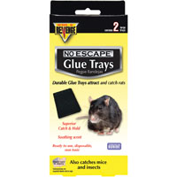 RAT GLUE TRAP TRAY 2PK