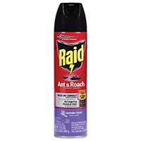 RAI-73963 ANT/ROACH KILLR 17.5OZ