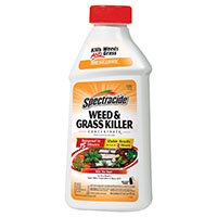 Spectracide HG-66001 Weed and Grass Killer, Liquid, Amber, 16 oz