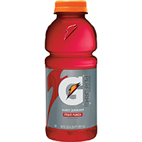 GATORADE FRT PNCH BOTTLE 20OZ