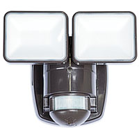MOTION LGHT 2LED 180DG 1250BRZ