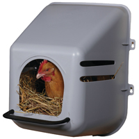 Box Nesting Chicken Single