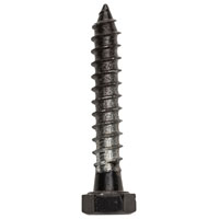 NAT-N179158 BOLT LAG BLK 1/4X1-1