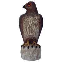 Decoy Hawk